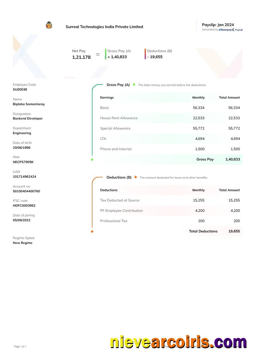Surreal Technologies India payslip